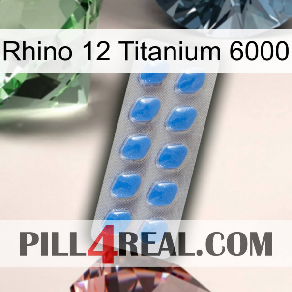 Rhino 12 Titanium 6000 22.jpg